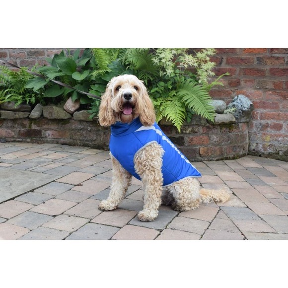 Reflective Insulated Stripe Dog Coat * Waterproof Puppy Clothes, Size Large" - Picture 1 of 9